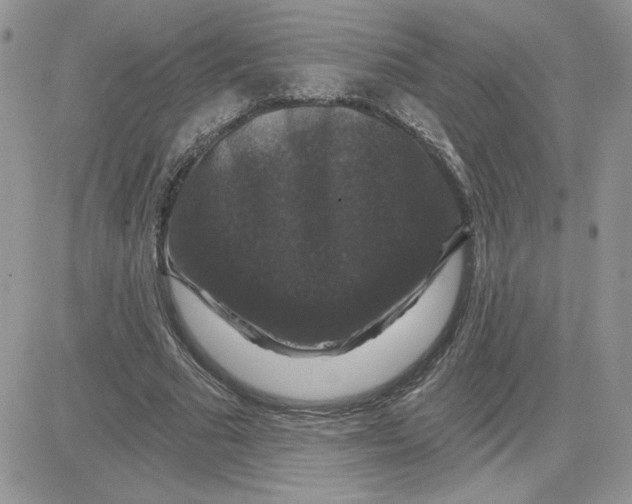 X0000081440681200701261848