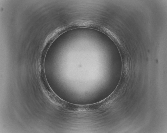 X0000081440682200701261848