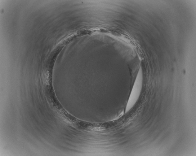 X0000081440689200701261848
