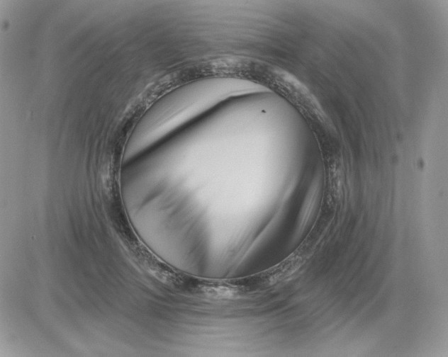 X0000081440698200701261848
