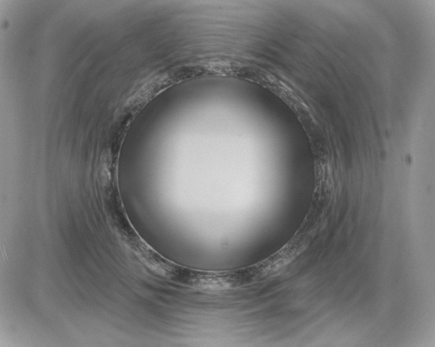 X0000081440702200701261848