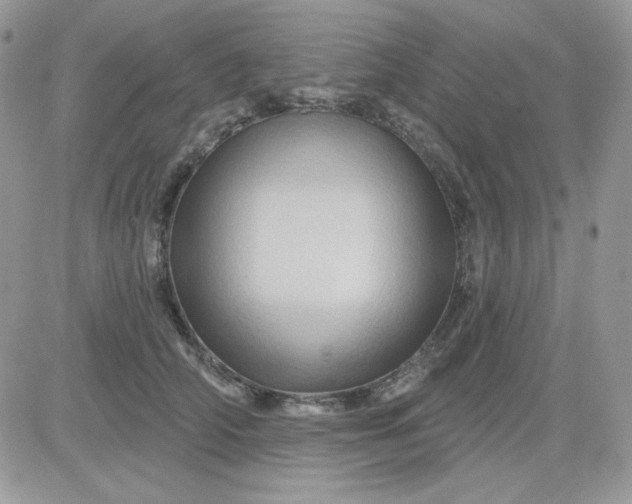 X0000081440706200701261848