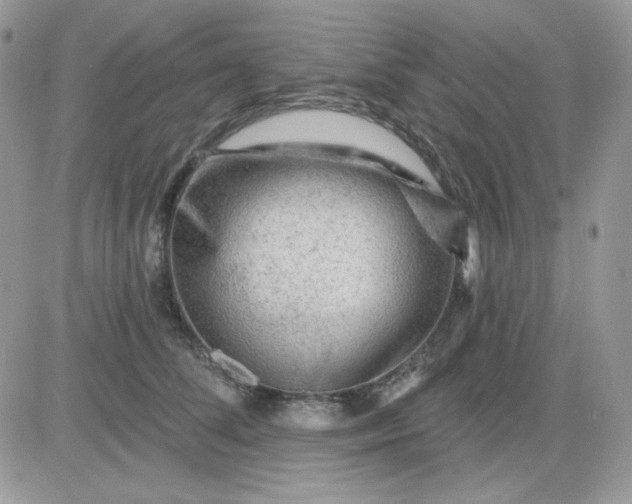 X0000081440708200701261848