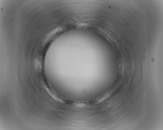 X0000081440710200701261848