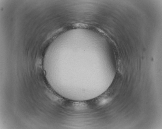 X0000081440714200701261847