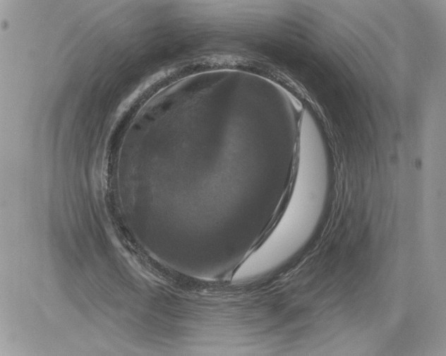 X0000081440722200701261847