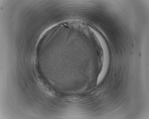 X0000081440724200701261847