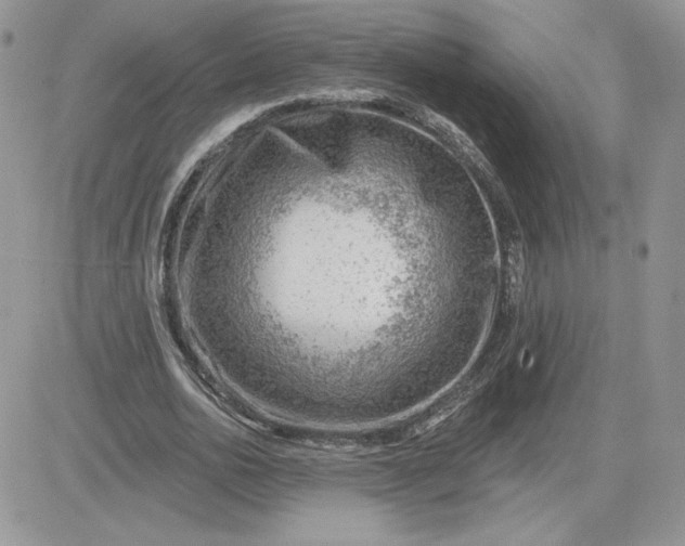 X0000081440726200701261847