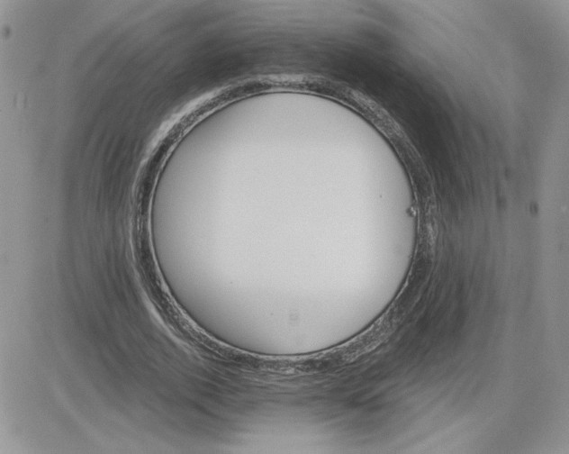 X0000081440728200701261847