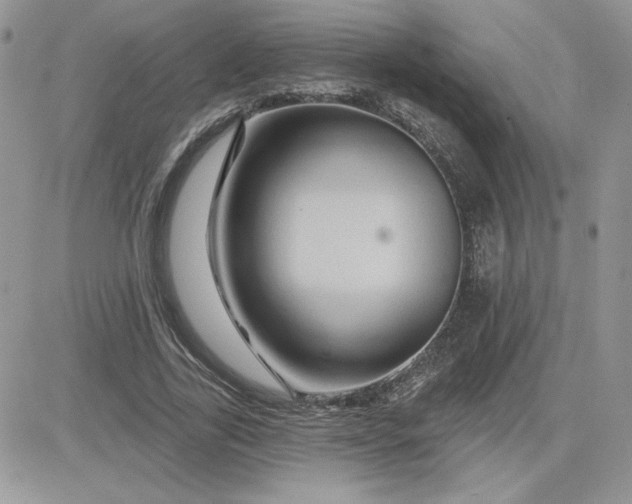 X0000081440731200701261847