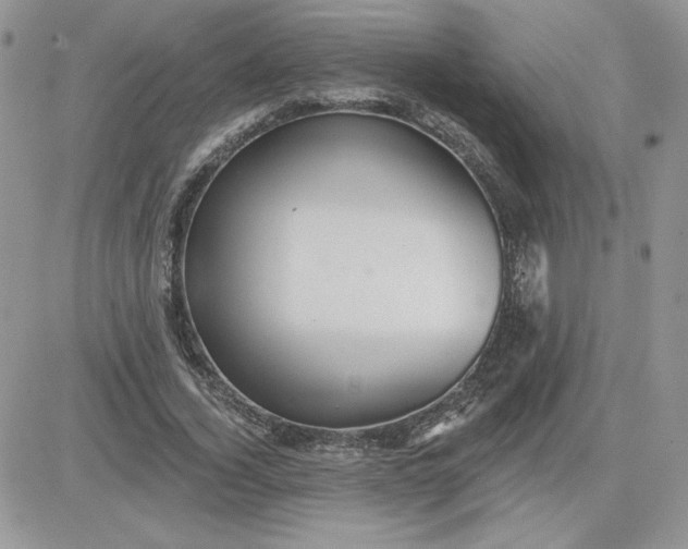 X0000081440732200701261847