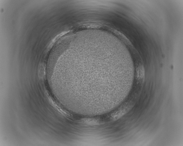 X0000081440733200701261847
