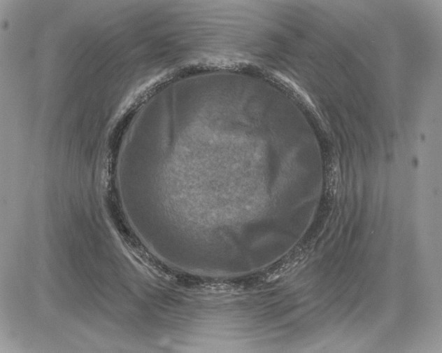 X0000081440736200701261847