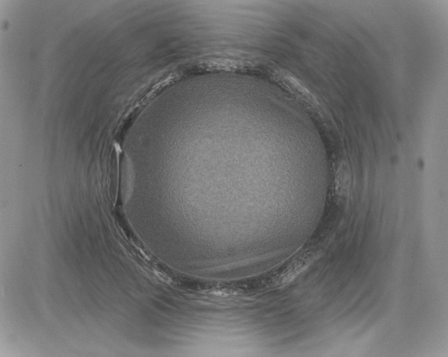 X0000081440737200701261847
