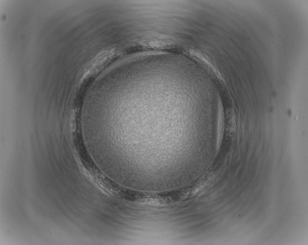 X0000081440738200701261847