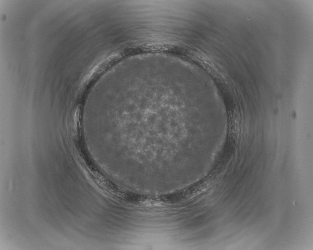 X0000081440742200701261847