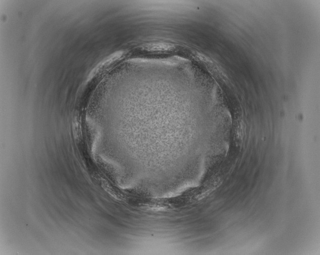 X0000081440743200701261847