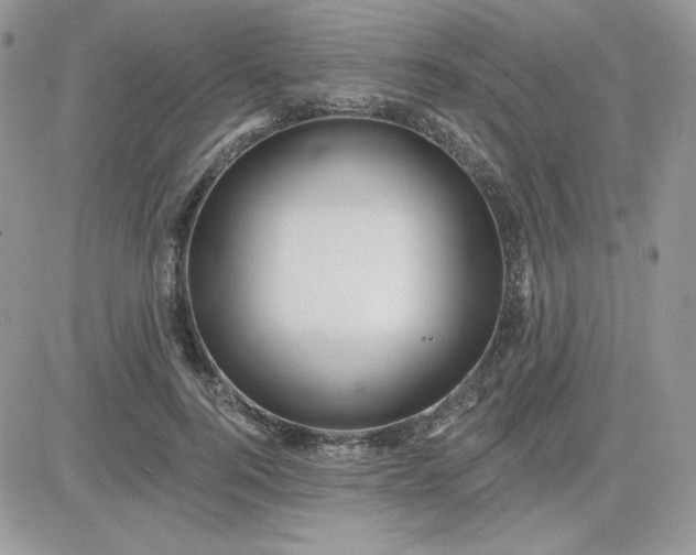X0000081440744200701261847