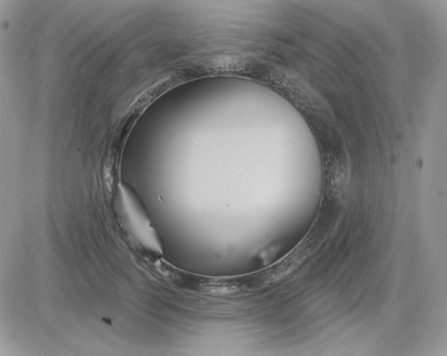 X0000081440746200701261847