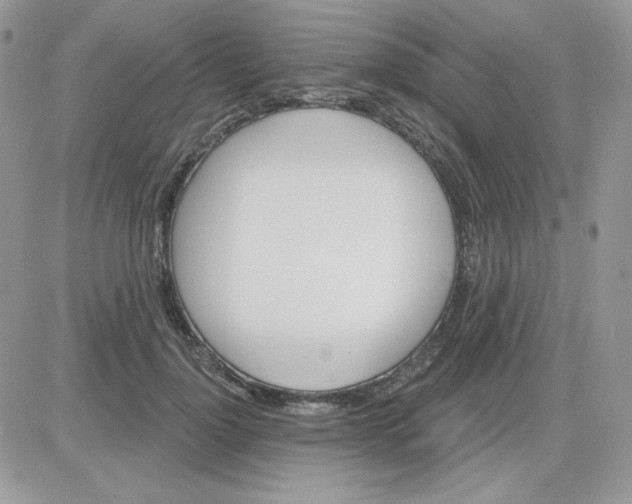 X0000081440748200701261847