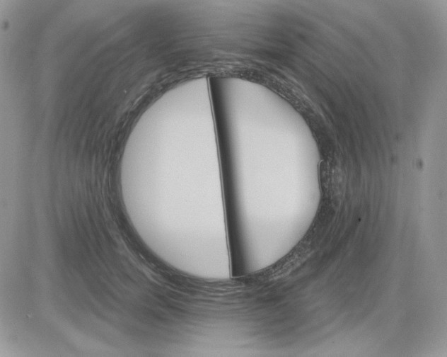 X0000081440750200701261847