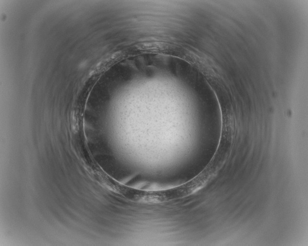 X0000081440751200701261847