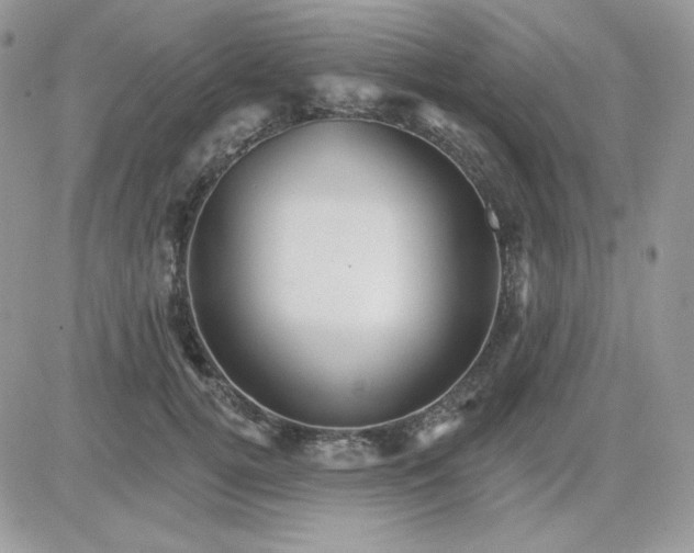 X0000081440752200701261847