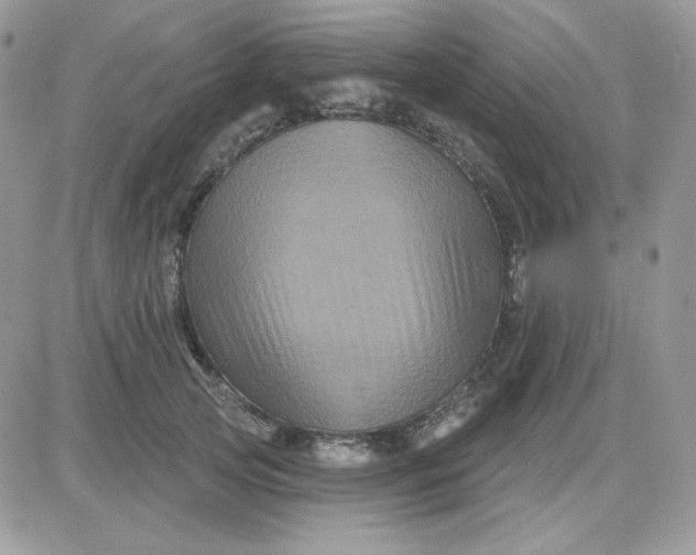 X0000081440753200701261847