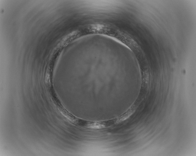 X0000081440754200701261847