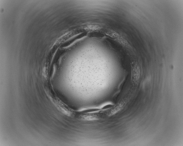 X0000081440755200701261847