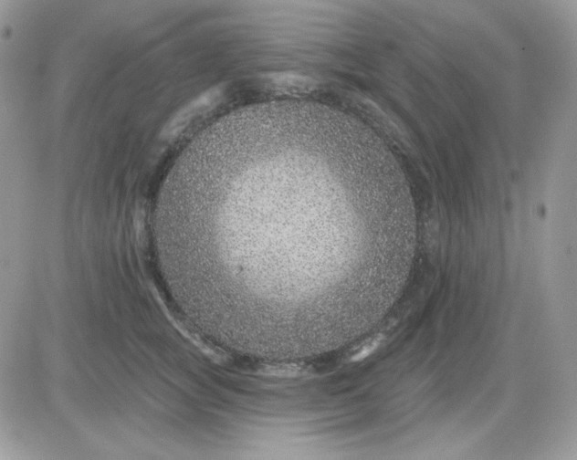 X0000081440757200701261847
