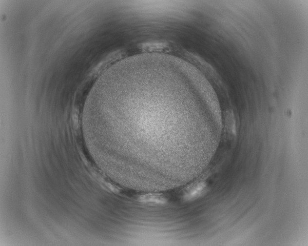 X0000081440761200701261847