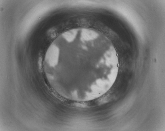 X0000081440765200701261847