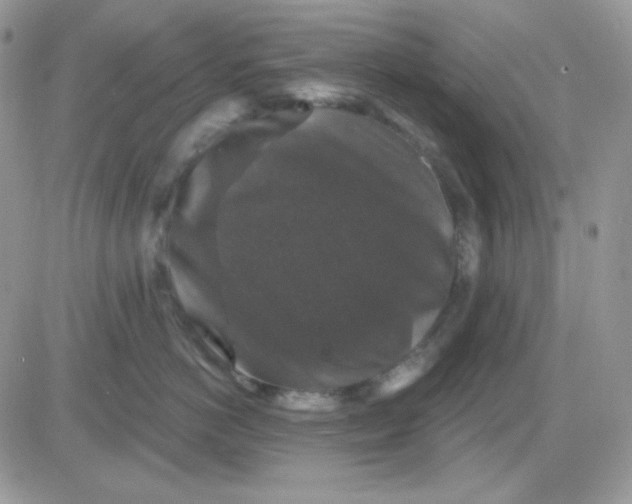 X0000081440766200701261847