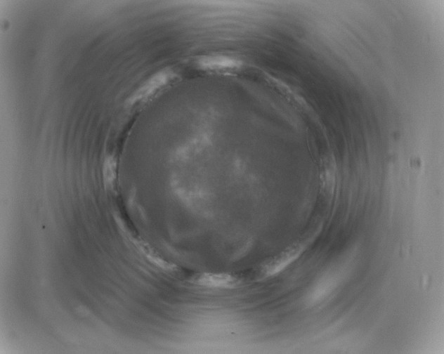 X0000081440767200701261847