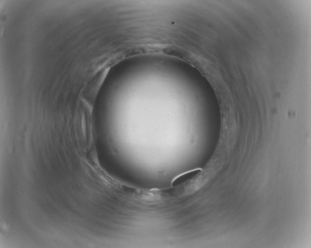 X0000081440768200701261847