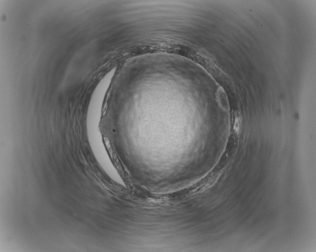 X0000081440771200701261847