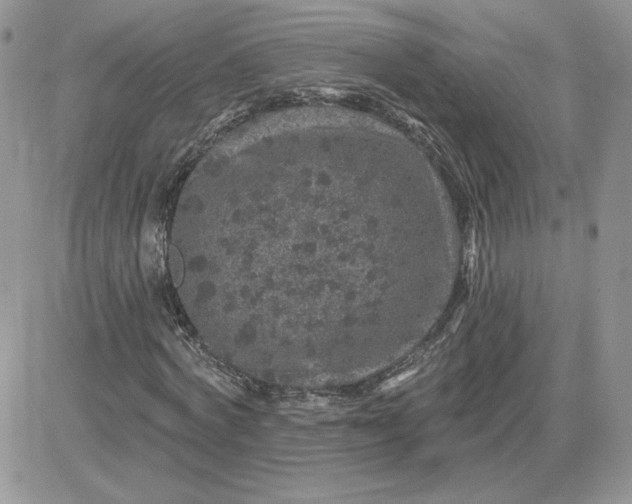 X0000081440772200701261847