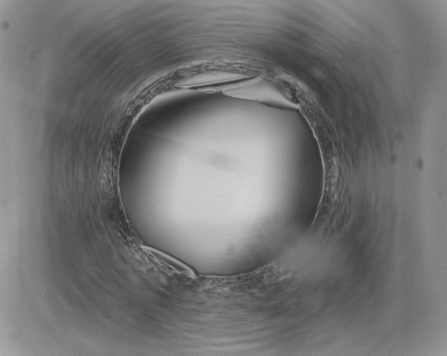 X0000081440773200701261847