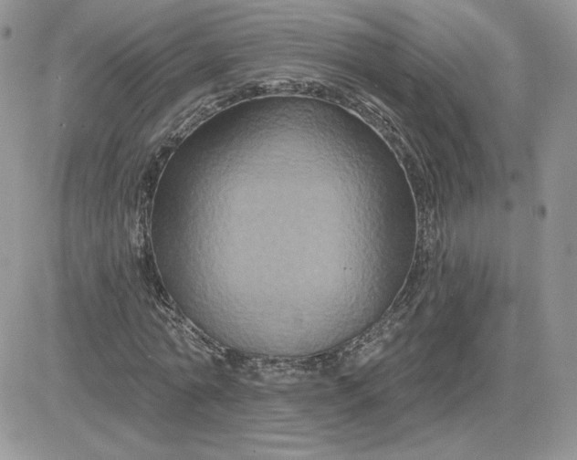 X0000081440774200701261847