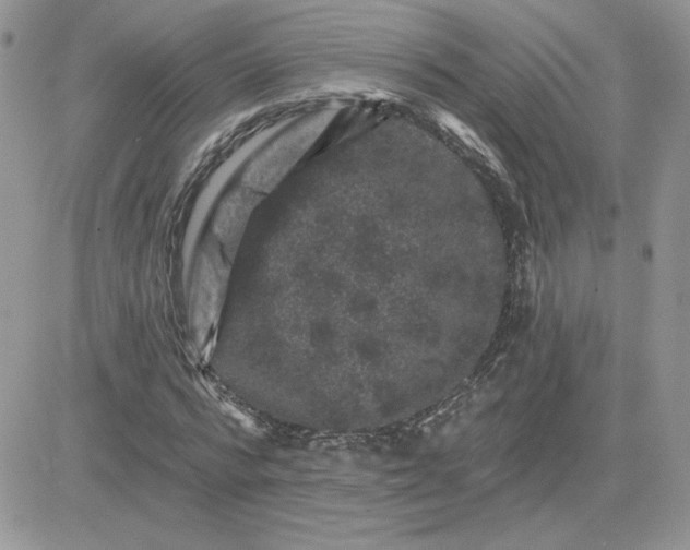 X0000081440776200701261846