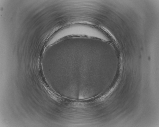 X0000081440777200701261846