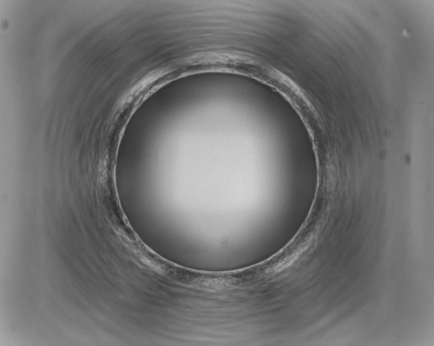 X0000081440778200701261846