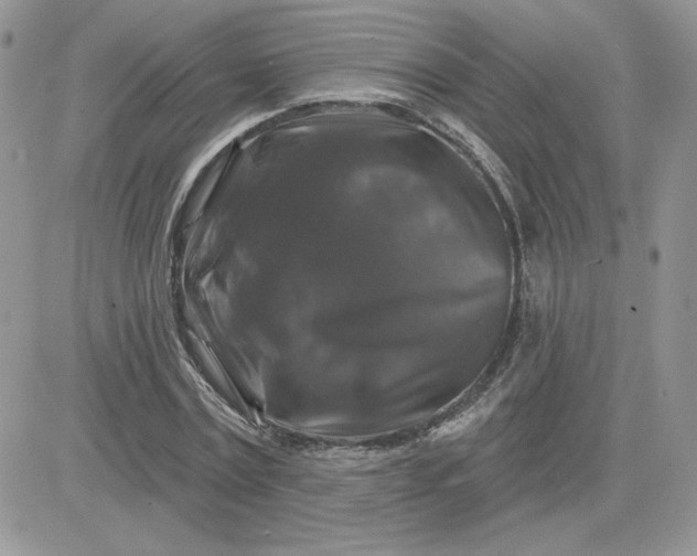 X0000081440779200701261846