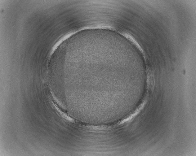 X0000081440781200701261846