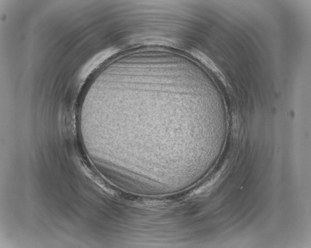 X0000081440782200701261846