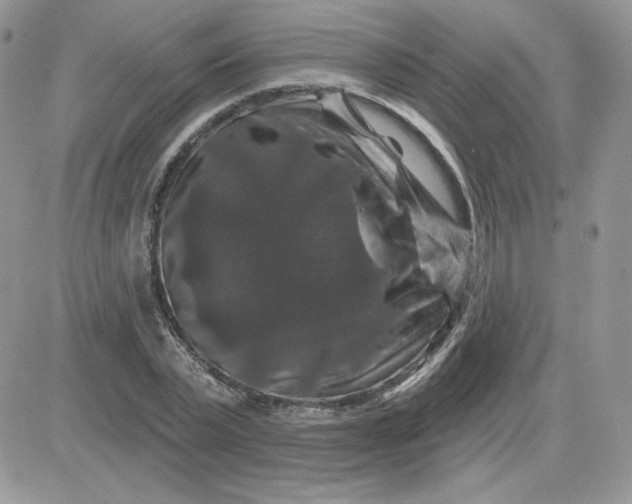 X0000081440783200701261846
