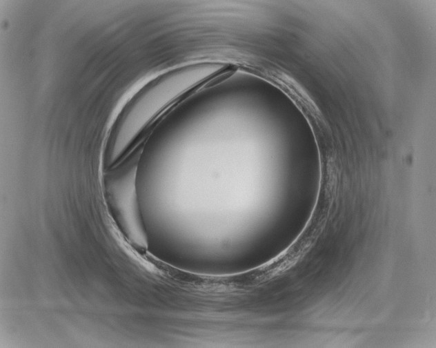 X0000081440788200701261846