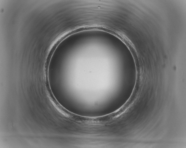 X0000081440789200701261846