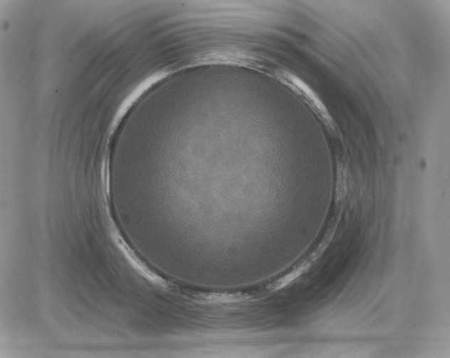 X0000081440796200701261846